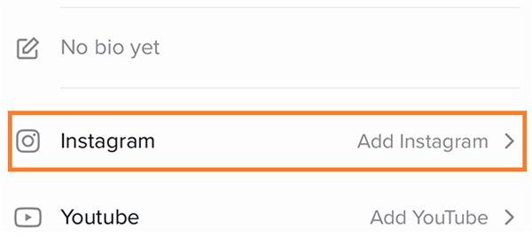 Add Instagram to TikTok Profile
